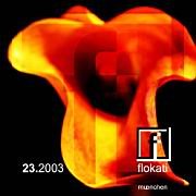 pl_204_flokati Kopie 4 NoBlur!.JPG